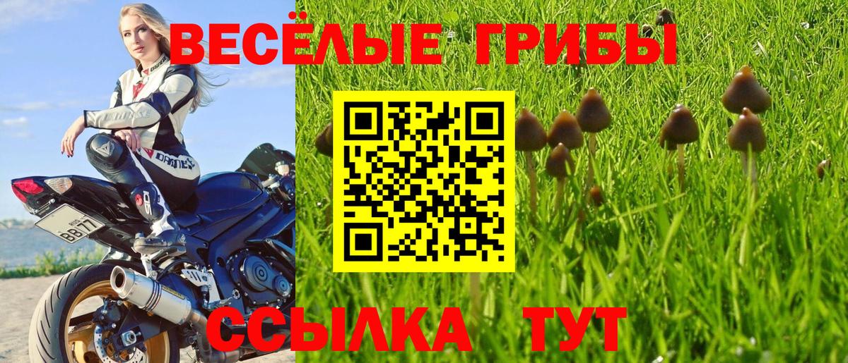 Галлюциногенные грибы ЛСД  Галлюциногенные грибы прущие грибы  Вход с VPN  Азов 